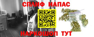 дмт Нягань