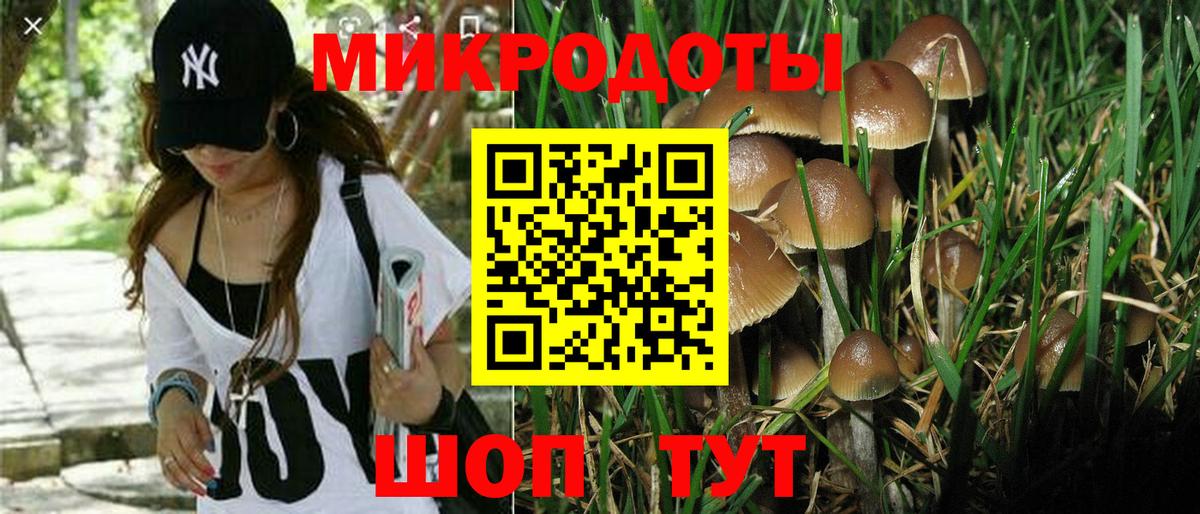 купить  цена  Псилоцибиновые грибы прущие грибы  Вход с VPN  Пугачёв 