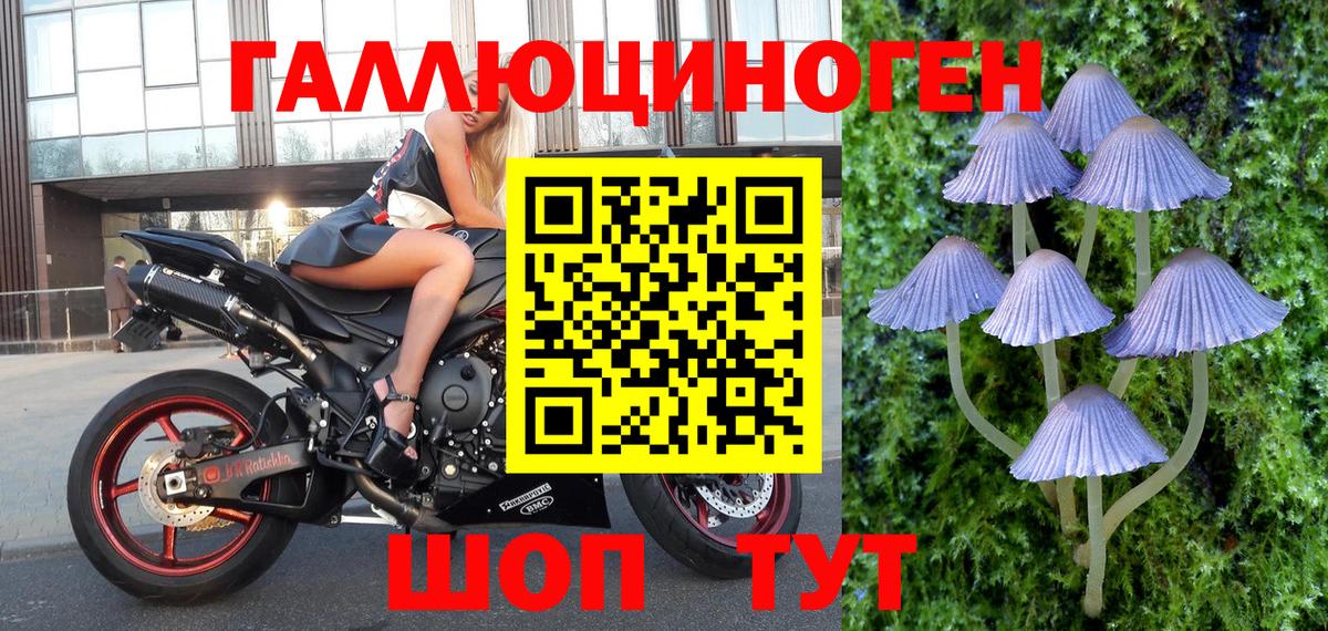 Галлюциногенные грибы Magic Shrooms Пугачёв